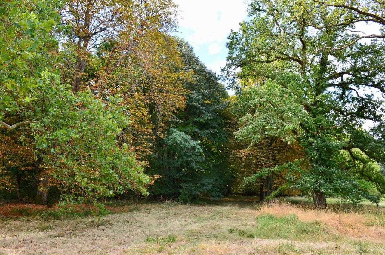 Chateau De Freschines Villefrancoeur 外观 照片